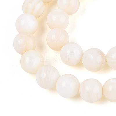 Natural Freshwater Shell Beads Strands X-SHEL-N038-05-1