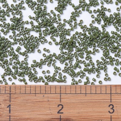 MIYUKI Delica Beads X-SEED-J020-DB1135-1