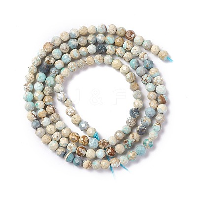 Natural Imperial Jasper Beads Strands G-L578-A03-1