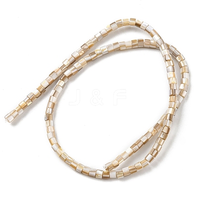 Natural Freshwater Shell Beads Strands SHEL-R129-05-1