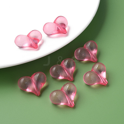 Transparent Acrylic Beads MACR-S373-70-B04-1