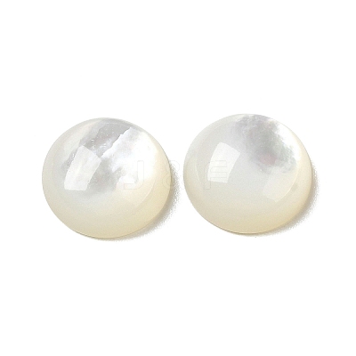 Natural White Shell Cabochons SSHEL-M022-01C-1