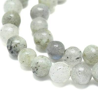 Natural Labradorite Beads Strands G-G828-01-6mm-1