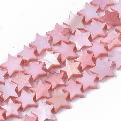 Freshwater Shell Beads Strands SHEL-T014-009F-1