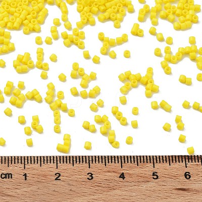 Baking Paint Glass Seed Beads SEED-S042-05B-81-1