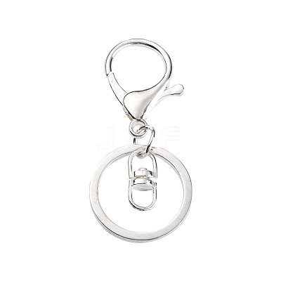Iron Alloy Lobster Claw Clasp Keychain X-KEYC-D016-S-1