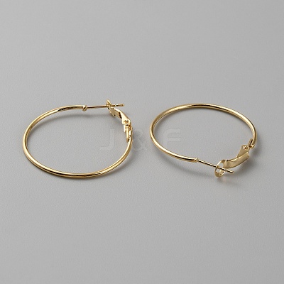 Brass Hoop Earring Findings FIND-WH0110-742B-G-1