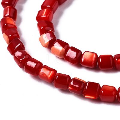 Natural Trochid Shell/Trochus Shell Bead Strands SSHEL-N034-77-C02-1