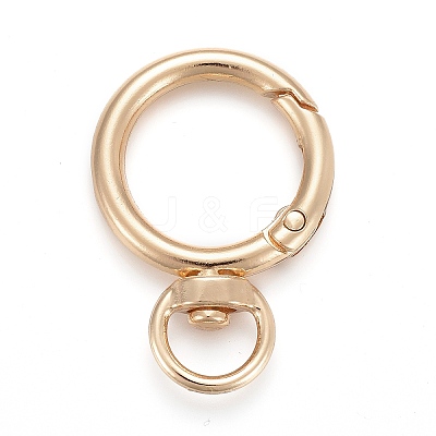 Alloy Swivel Clasps LS-KEYC-H109-01G-1