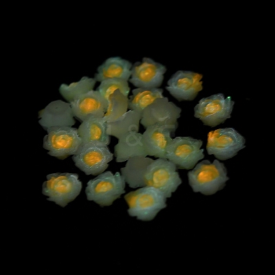 Luminous Resin Decoden Cabochons RESI-K036-06E-1