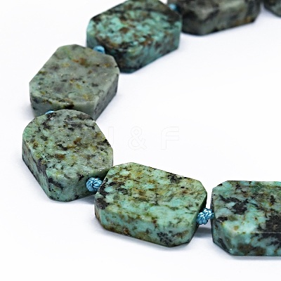 Natural African Turquoise(Jasper) Beads Strands G-F725-01-1