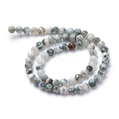 Natural Tree Agate Bead Strands X-G-R411-25-4mm-1