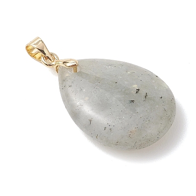 Natural Labradorite Pendants PALLOY-JF04953-1