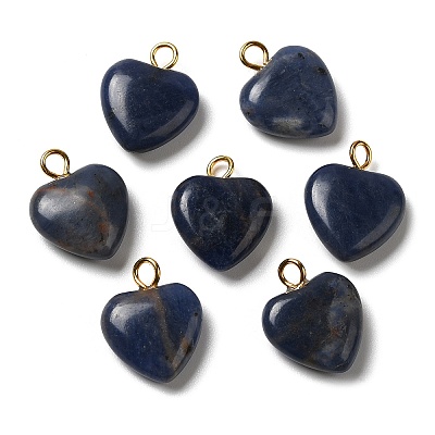 Natural Sodalite Pendants G-E603-01G-01-1