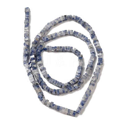 Natural Blue Spot Jasper Beads Strands G-N342-82-1