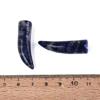 Natural Sodalite Pendants G-Q602-10D-1