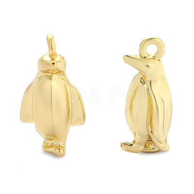 Zinc Alloy Charms AL-OY001-23G-1