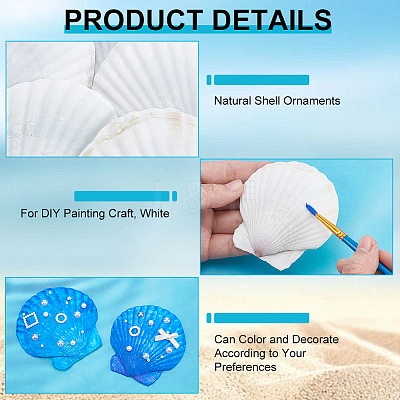 80Pcs Natural Shell Ornaments DIY-WA0001-03-1