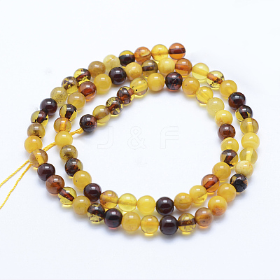 Natural Amber Beads Strands G-P336-16-6mm-1