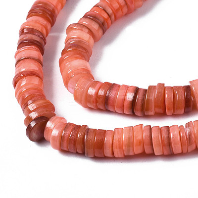 Natural Freshwater Shell Beads Strands SHEL-S278-025H-1