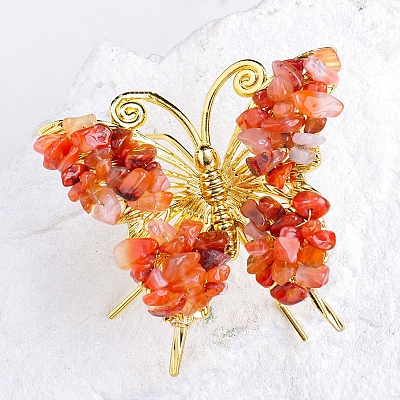 Raw Natural Carnelian Chip Mineral Specimen Display Decorations PW-WG29201-17-1