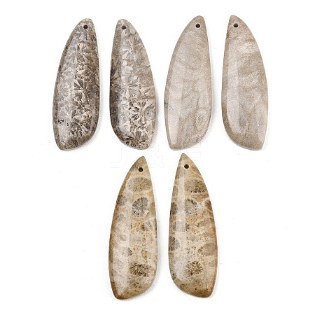 Natural Fossil Coral Pendants G-B187-01C-04-1