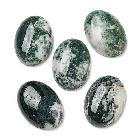 Natural Tree Agate Cabochons G-M430-01-1