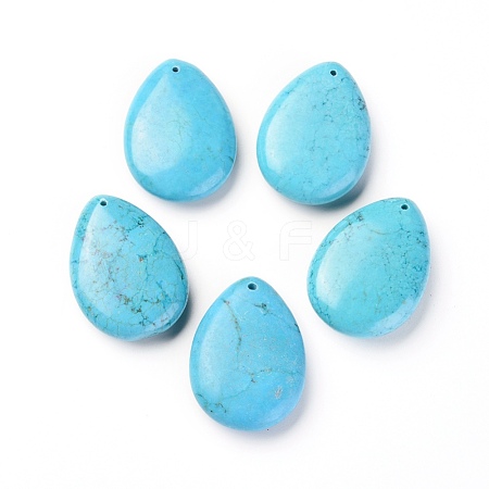 Natural Howlite Pendants TURQ-L031-028-1