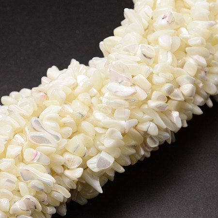 Natural Trochid Shell/Trochus Shell Beads Strands X-SSHEL-K014-07-1