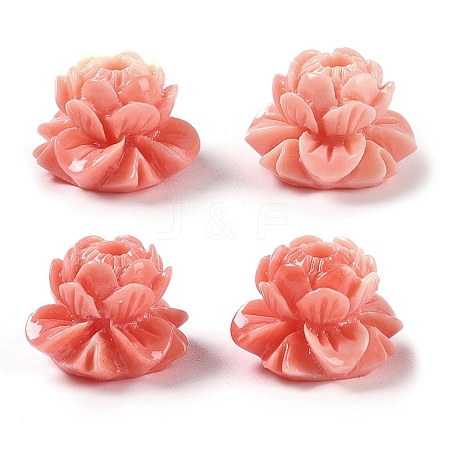 Synthetic Shell Dyed Carved Beads SHEL-H005-16-1