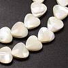 Natural Trochid Shell/Trochus Shell Beads Strands SSHEL-K012-05-3