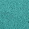 TOHO Round Seed Beads SEED-TR11-0055-2