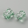 Handmade Lampwork Beads LAMP-CJC0008-13J-1