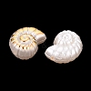 ABS Plastic Imitation Pearl Beads PL-N007-40-2