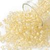 6/0 Glass Seed Beads SEED-A014-4mm-131-1