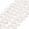 Natural Freshwater Shell Beads Strands SHEL-H002-02E-1