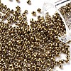 8/0 Glass Seed Beads X1-SEED-A009-3mm-601-1