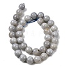 Natural Gemstone Beads Strands G-L641-A01-05-3