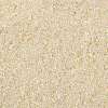 TOHO Round Seed Beads SEED-TR15-0147-2