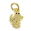 Rack Plating Brass Micro Pave Cubic Zirconia Charms KK-Q784-25G-2