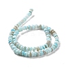 Natural Cultured Freshwater Shell Beads Strands SHEL-F002-01B-3