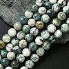 Natural Tree Agate Round Gemstone Beads Strands G-R255-10mm-1