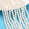Natural Cultured Freshwater Pearl Beads Strands PEAR-L034-09A-1