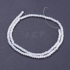 Electroplate Glass Beads Strands GLAA-F076-FR03-2