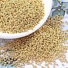 MIYUKI Round Rocailles Beads X-SEED-G007-RR1052-1