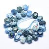 Natural Apatite Beads Strands G-K223-49A-2