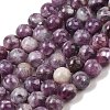 Natural Lepidolite/Purple Mica Stone Beads Strands G-G160-A01-02A-2