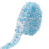 5 Yards Glitter PVC Sequins Hotfix Ornament Accessories DIY-WH0128-19A-1