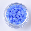 6/0 Transparent Glass Seed Beads SEED-S027-03B-04-2