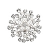 Flower Alloy Rhinestone Brooches for Women DJ-PW-WGD2C4F-01-1